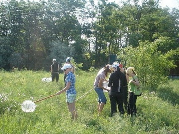 Збір комах у с.Рибаківка
