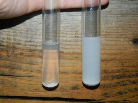 Навчально-польова практика з екології 320 групи.