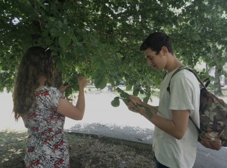 Навчальна польова практика з ботаніки 130 групи